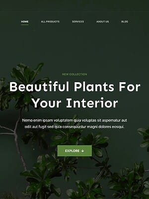 Green plants for interior decor on dark background