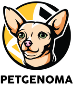 Chihuahua mascot with geometric background.